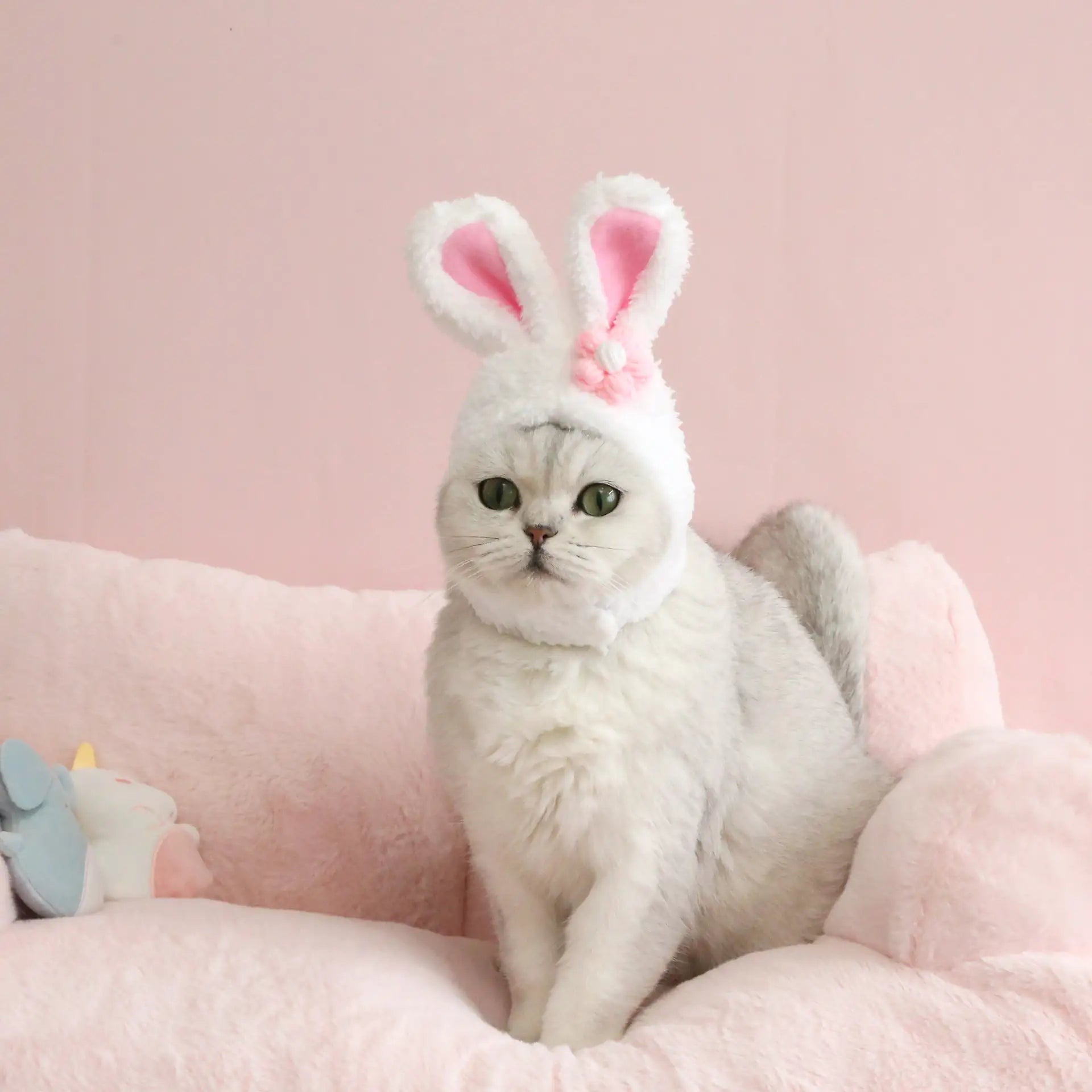 Cat wearing bunny ears sitting on a pink cushion with a pink background Rabbit Ears Cute Easter Decoration