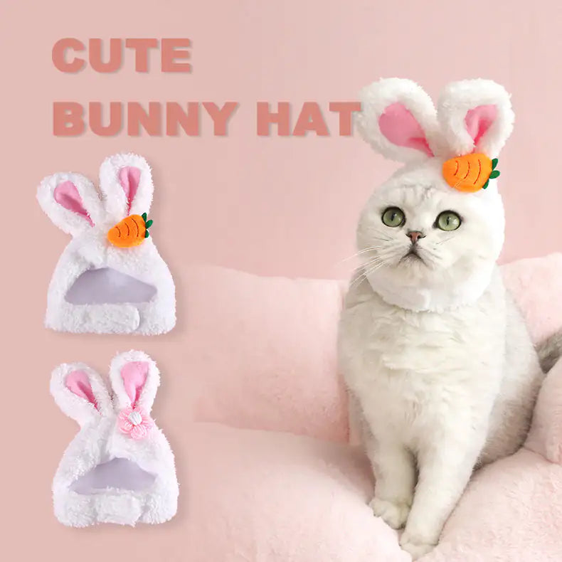 Cat wearing a cute bunny hat with pink ears and a carrot decoration on a pink background. Rabbit Ears Cute Easter Decoration